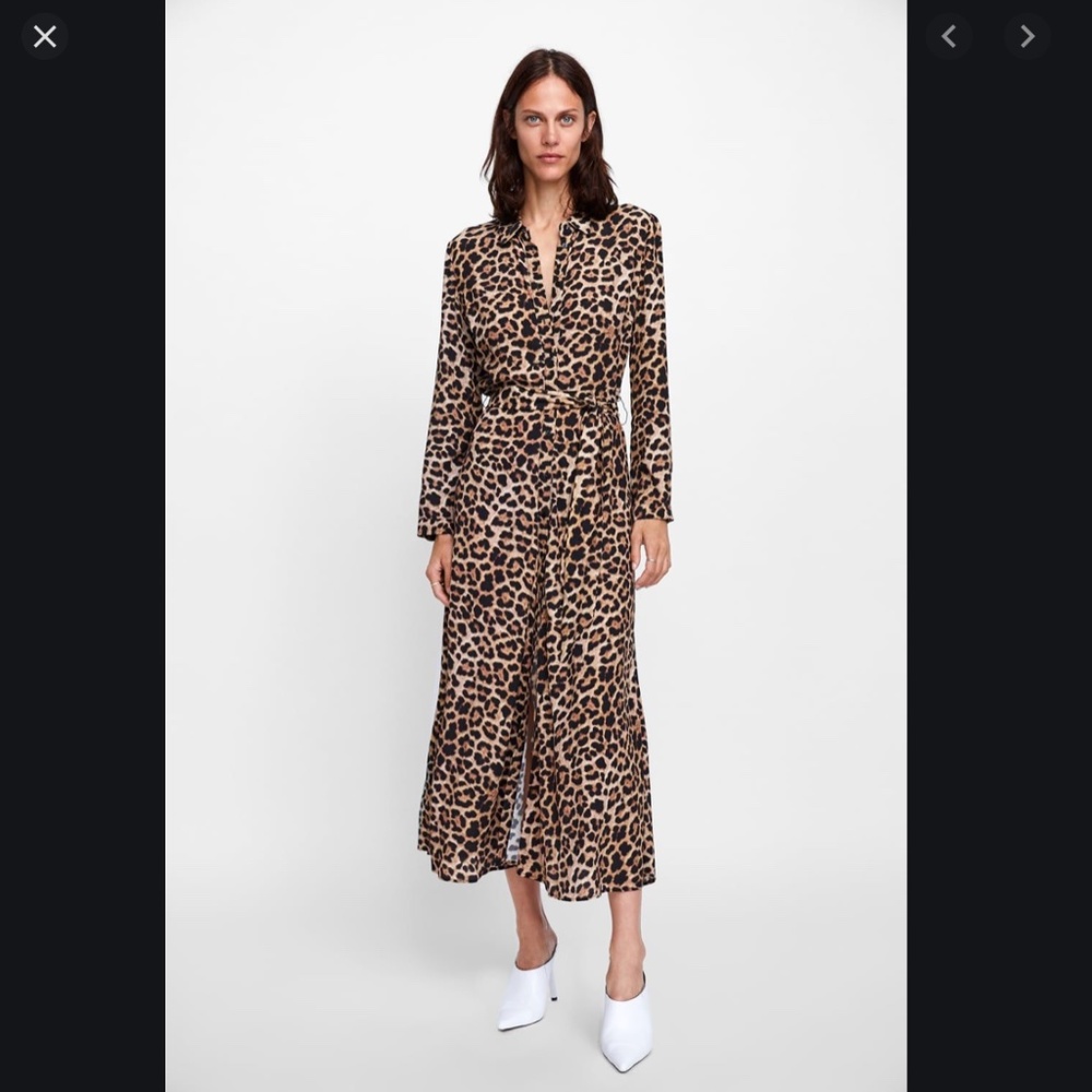 Zara Leopard Print Maxi Dress